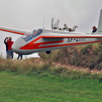 Za to  krzaki nie krzaki  ...