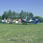 18 05 2011. Akcja rozwinięta do pięciu Antków - cztery wynajęte.