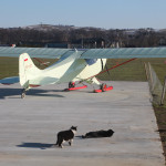 Na łososińskim aerodromie wszystkim dobrze ...