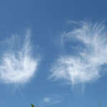 Cirrus floccus ( kosmyk, kłaczek)