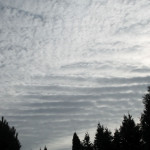 Cirrus undulatus ( wełnisty, falisty)
