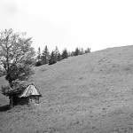 Polana Łąki  (1001 m n.p.m.) w masywie Jasienia - 1977 r. W lesie poniżej bacówki źródła Łososiny