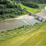 Most w kierunku Jaworznej. 1999 rok - czysta  w miarę Łososina przypominała latem raj u Allacha. Dzisiaj nad nią pusto
