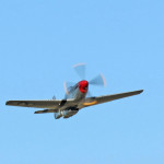 Gwiazda pierwszej wielkości pokazów - P-51D "Mustang"