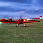Fire Birds ...