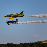 L-39 Albatros - czeski odrzutowiec szkolno-treningowy w barwach lotnictwa ...NRD